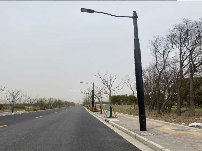 泰山区上海综合杆 太阳能路灯工程